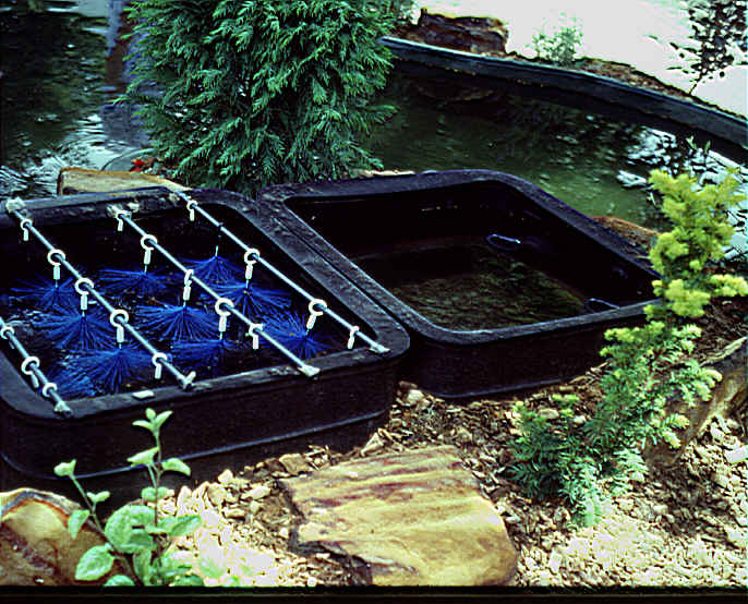 Pond Filter Box